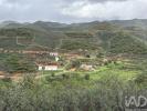 Vente Maison Tavira CACHOPO 1100 m2 Portugal