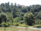 Vente Terrain Tomar SAO-PEDRO-DE-TOMAR 9545 m2 Portugal
