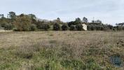 Vente Terrain Tomar  13080 m2 Portugal