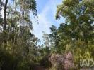 Vente Terrain Tomar SABACHEIRA 5400 m2 Portugal