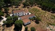 Vente Maison Tomar SA£O-PEDRO-DE-TOMAR 738 m2 Portugal