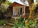 Vente Terrain Tomar  1720 m2 Portugal