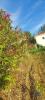 Vente Maison Torre-de-moncorvo CARVIAAIS 71 m2 Portugal