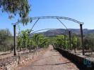 Vente Maison Torre-de-moncorvo CABEAA-BOA 280 m2 Portugal