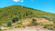 Vente Terrain Torre-de-moncorvo MAS 32767 m2 Portugal