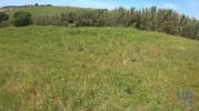 Vente Terrain Torres-vedras A-DOS-CUNHADOS-E-MACEIRA 2896 m2 Portugal