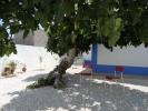 Vente Maison Torres-vedras A-DOS-CUNHADOS-E-MACEIRA 83 m2 4 pieces Portugal