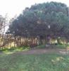 Vente Terrain Torres-vedras TURCIFAL 32767 m2 Portugal