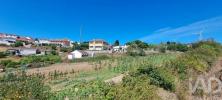 Vente Terrain Torres-vedras MAXIAL-E-MONTE-REDONDO 3080 m2 Portugal