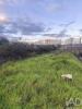 Vente Terrain Trofa BOUGADO-(SA�O-MARTINHO-E-SANTIAGO) 3400 m2 Portugal