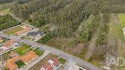 Vente Terrain Vagos FONTE-DE-ANGEA£O-E-COVA£O-DO-LOBO 4607 m2 Portugal