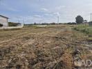 Vente Terrain Vagos PONTE-DE-VAGOS-E-SANTA-CATARINA 610 m2 Portugal