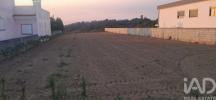 Vente Terrain Vagos OUCA 320 m2 Portugal