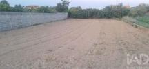Vente Terrain Vagos OUCA 135 m2 Portugal