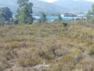 Vente Terrain Valongo CAMPO 8400 m2 Portugal