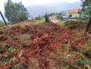 Vente Terrain Vieira-do-minho CANIAADA-E-SOENGAS 1410 m2 Portugal
