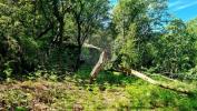 Vente Terrain Vieira-do-minho  30 m2 Portugal