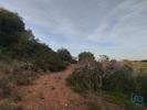 Vente Terrain Vila-do-bispo BARA£O-DE-SA£O-MIGUEL 12000 m2 Portugal