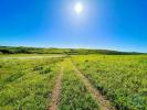 Vente Terrain Vila-do-bispo VILA-DO-BISPO-E-RAPOSEIRA 19000 m2 Portugal