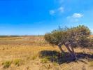 Vente Terrain Vila-do-bispo VILA-DO-BISPO-E-RAPOSEIRA 32767 m2 Portugal