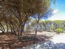 Vente Terrain Vila-do-bispo VILA-DO-BISPO-E-RAPOSEIRA 32767 m2 Portugal