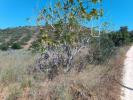Vente Terrain Vila-do-bispo BUDENS 14240 m2 Portugal