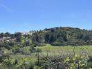 Vente Terrain Vila-do-bispo BUDENS 252 m2 Portugal