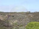 Vente Terrain Vila-do-bispo VILA-DO-BISPO-E-RAPOSEIRA 17250 m2 Portugal