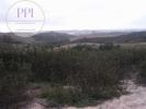 Vente Terrain Vila-do-bispo 32767 m2 Portugal