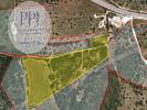 Vente Terrain Vila-do-bispo  32767 m2 Portugal