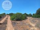 Vente Terrain Vila-do-bispo 11240 m2 Portugal