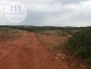 Vente Terrain Vila-do-bispo 12040 m2 Portugal