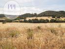 Vente Terrain Vila-do-bispo 32767 m2 Portugal