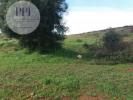 Vente Terrain Vila-do-bispo 9040 m2 Portugal