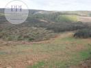 Vente Terrain Vila-do-bispo 32767 m2 Portugal