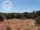 Vente Terrain Vila-do-bispo 15800 m2 Portugal