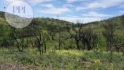 Vente Terrain Vila-do-bispo 32767 m2 Portugal
