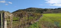 Vente Terrain Vila-do-bispo BUDENS 9640 m2 Portugal