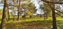Vente Terrain Vila-do-bispo VILA-DO-BISPO-E-RAPOSEIRA 32767 m2 Portugal
