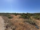 Vente Terrain Vila-do-bispo BARA£O-DE-SA£O-MIGUEL 32767 m2 Portugal