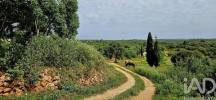 Vente Terrain Vila-do-bispo BARA�O-DE-SA�O-MIGUEL 4400 m2 Portugal