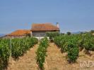 Vente Maison Vila-flor VILA-FLOR-E-NABO 216 m2 Portugal