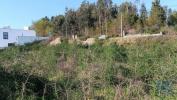 Vente Terrain Vila-nova-de-famalicao JOANE 391 m2 Portugal