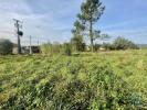 Vente Terrain Vila-nova-de-poiares  270 m2 Portugal