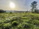 Vente Terrain Vila-nova-de-poiares  990 m2 Portugal