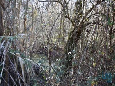 Vente Terrain ABADES 2435