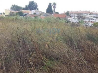 Vente Terrain ABOBODA 2785