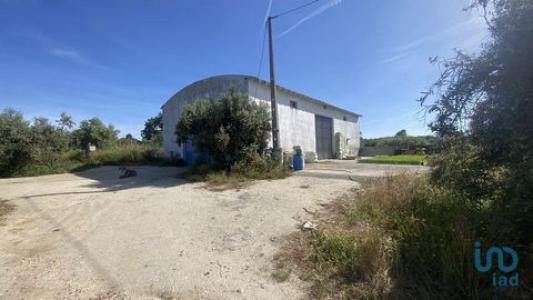 Vente Terrain ABRANTES 2200