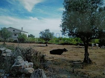 Vente Terrain ADE 6355