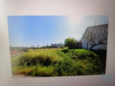 Vente Terrain AGUA-FORMOSA 3105